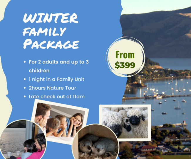 Akaroa Winter family Package stay in a motel and nature tour with penguins and sheep